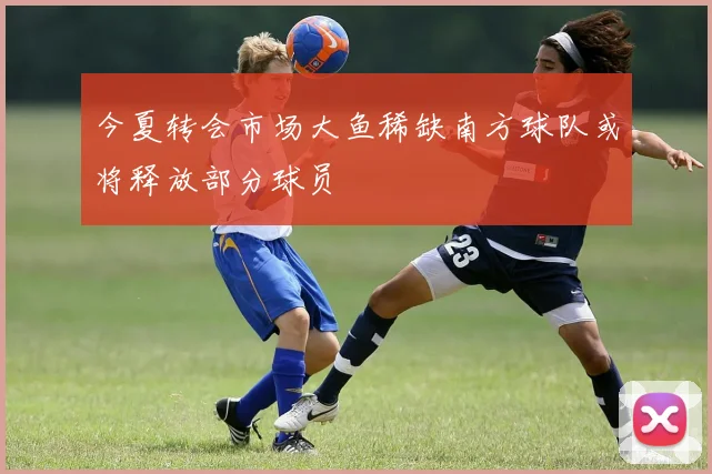 今夏转会市场大鱼稀缺南方球队或将释放部分球员