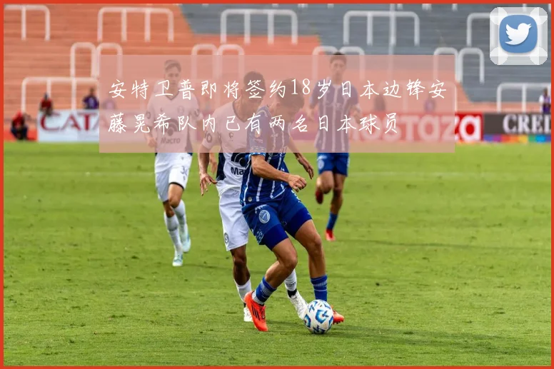 安特卫普即将签约18岁日本边锋安藤晃希队内已有两名日本球员