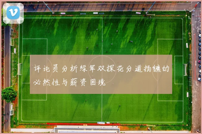 评论员分析绿军双探花分道扬镳的必然性与薪资困境